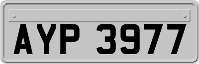 AYP3977