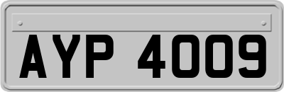 AYP4009