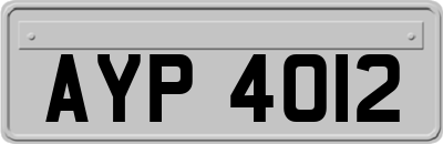 AYP4012