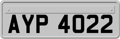 AYP4022
