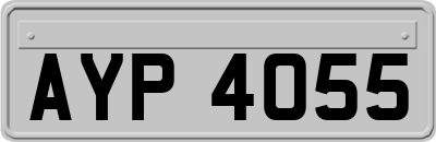 AYP4055