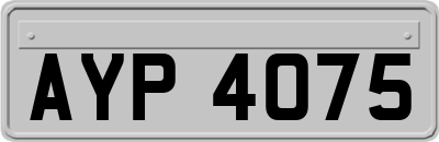AYP4075