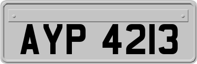 AYP4213