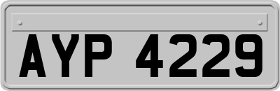 AYP4229