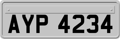 AYP4234