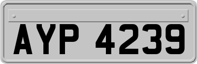 AYP4239