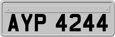 AYP4244
