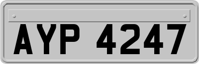 AYP4247