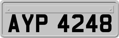 AYP4248