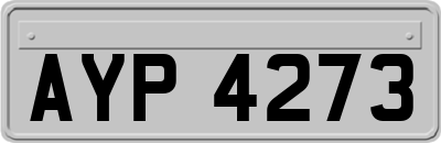 AYP4273