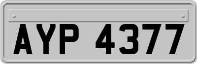 AYP4377