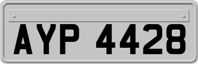 AYP4428