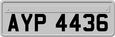 AYP4436