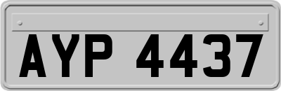 AYP4437