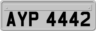 AYP4442