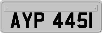 AYP4451