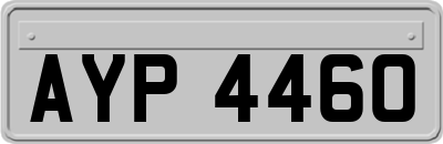 AYP4460