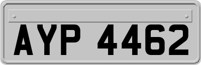 AYP4462