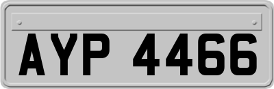 AYP4466