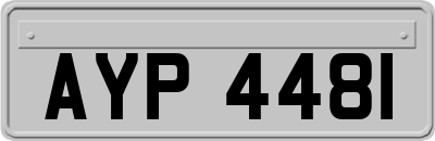 AYP4481