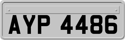 AYP4486
