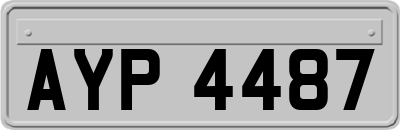 AYP4487