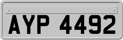 AYP4492