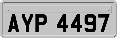 AYP4497