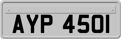 AYP4501