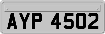 AYP4502