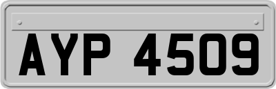 AYP4509