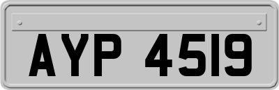 AYP4519