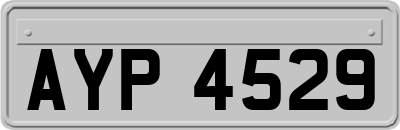 AYP4529