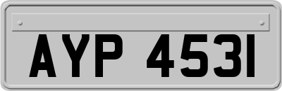 AYP4531