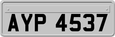 AYP4537