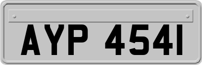 AYP4541