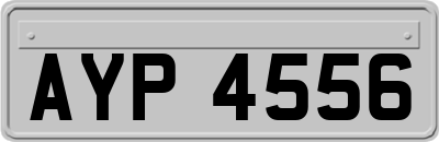 AYP4556