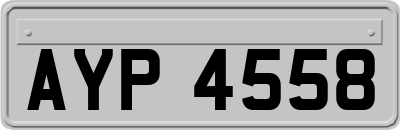 AYP4558