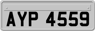 AYP4559
