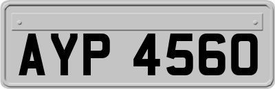 AYP4560