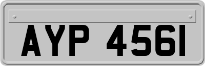 AYP4561