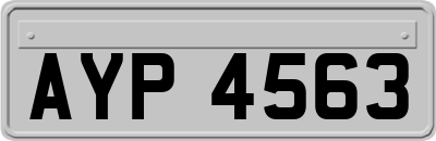 AYP4563
