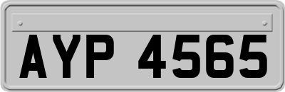 AYP4565