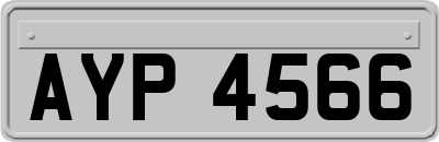 AYP4566