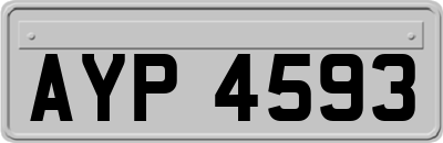 AYP4593