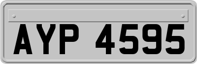 AYP4595