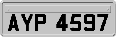AYP4597