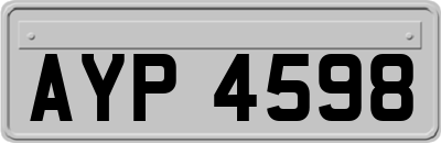 AYP4598