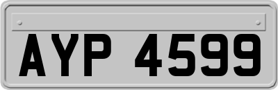 AYP4599