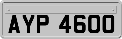 AYP4600